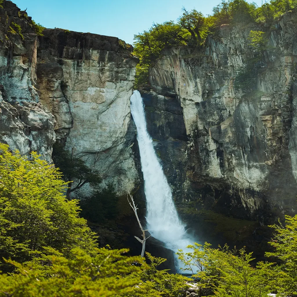 Chorrillo del Salto: la cascada de El Chaltén en el bosque andino