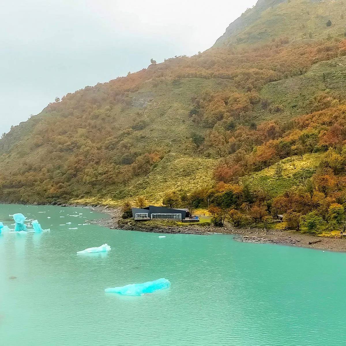 Otoño 23 14 1920w